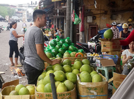Bưởi là trái cây của Việt Nam không bị mạo nhận nguồn gốc